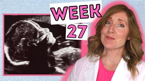 What To Expect At 27 Weeks Week By Week 27 Weeks Pregnant In Months