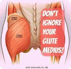 They affect your ability to sit and stand, walk up the stairs and even walk up a hill. gluteal muscles color diagram - Google Search | glutes | Pinterest | Glutes, Exercise and ...