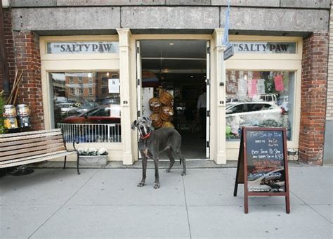 2824 long beach road, 11572 oceanside ny. Find a great pet store in New York City