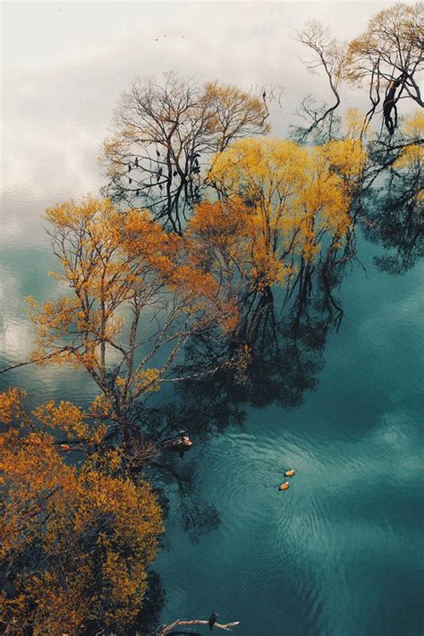 However, some photos may require attribution. Best Photos Are Taken From Above, As The 2018 Drone Photo Contest Announces The Winners (25 pics ...