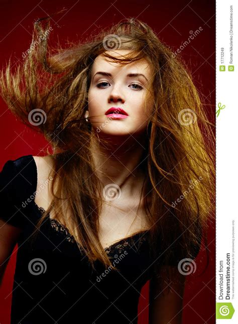 Portrait Of The Beautiful Girl A Wild Hair Stock Image