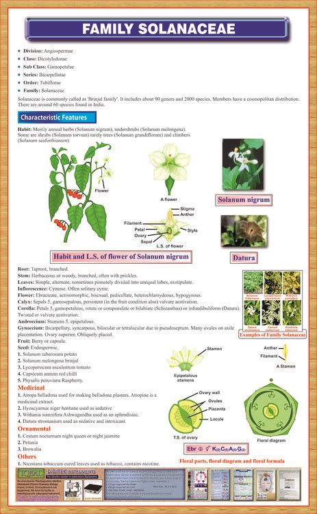 Maybe you would like to learn more about one of these? Family-Solanaceae-Chart - Iqbal Scientific Store