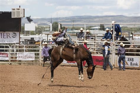 Hd Wallpaper Jockey Riding Brown Horse Cowboys Bronc Rider Rodeo