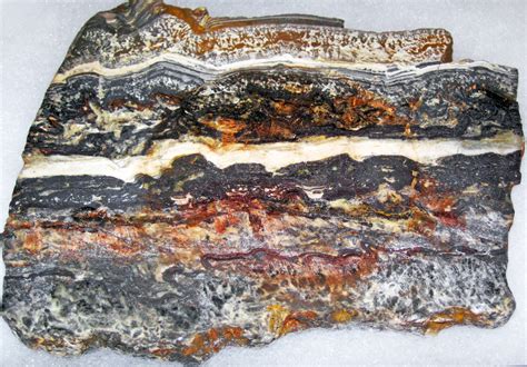 Stromatolite Dresser Formation Paleoarchean 348 Ga Normay Mine