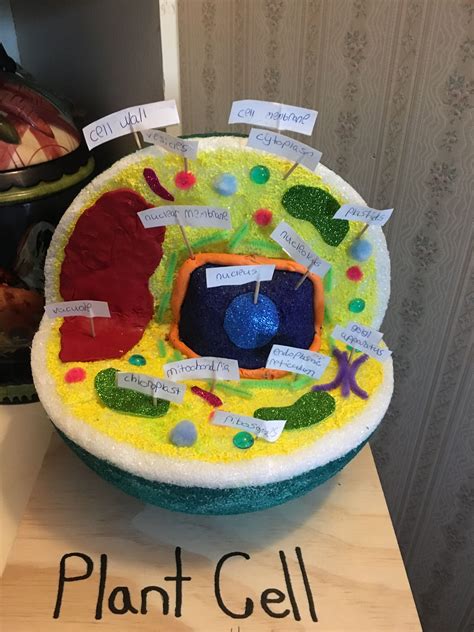 Plant Cell Model 6th Grade Cell Model Project Plant Cell Project