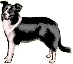 Great sites have american pet registry inc are listed here. Comment apprendre un chien à faire pipi dehors?