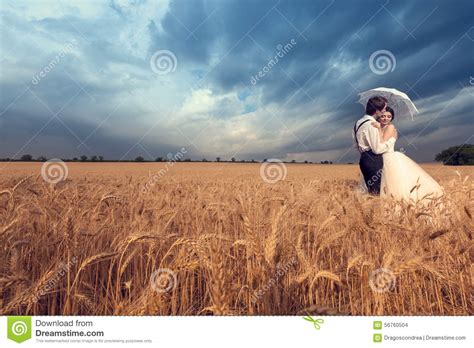 See more ideas about country wedding, wedding photos, wedding. Groom Kissing The Bride In Wheat Field Stock Photo - Image of nature, female: 56760504