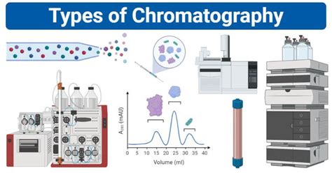 Types Of Chromatography Definition Principle Steps Uses Thin