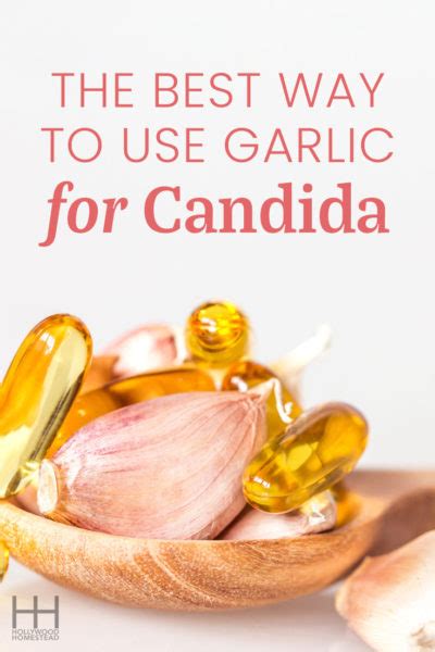 The Best Way To Use Garlic For Candida Hollywood Homestead