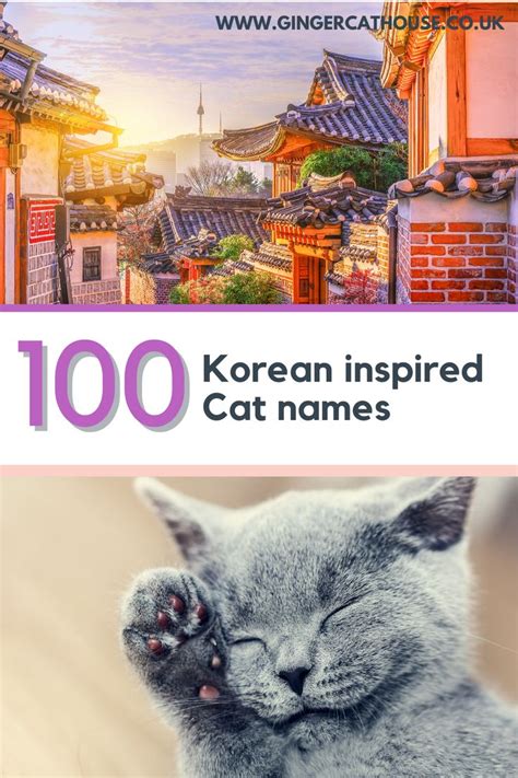 100 Korean K Pop Cat Names Cat Names Pet Names For Cats Pet Names
