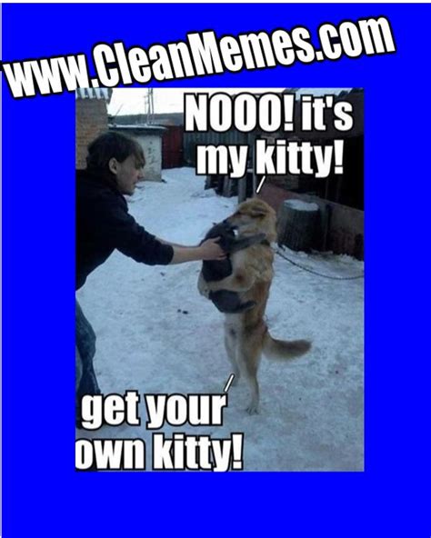 So we have found the funniest cat memes on the internet, for your personal enjoyment. Grab Hold Of the Fascinating Very Funny Clean Dog Memes ...