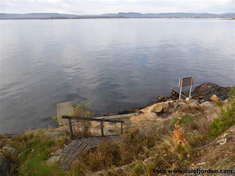 Bak stranda er det fine svaberg. Bonden badeplass Oslofjorden Nesodden