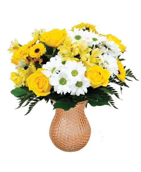 Royer's flowers & gifts west lancaster avenue reading pa. Shillington Flower Shop at 407 W Lancaster Ave Shillington ...