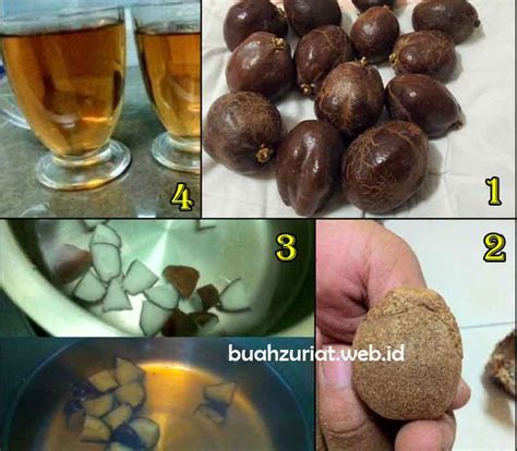 Cara Makan Buah Zuriat, Minum dan Manfaat Mengkonsumsinya - Promil