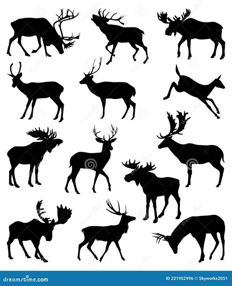 Collection Of Silhouettes Of Wild Animals Vector Collection Of Deer