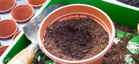 Plastic tubs or large ceramic pots are needed for growing a carob tree because they are both large enough to allow for root growth and sturdy enough to withstand the weight of the soil and the tree itself. How to Choose the Right Containers For Growing Vegetables