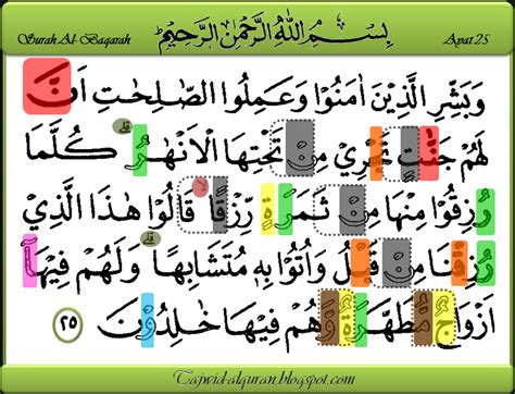 Surah Al Baqarah Ayat 25 Understanding Surah Baqarah Ayat 25 225