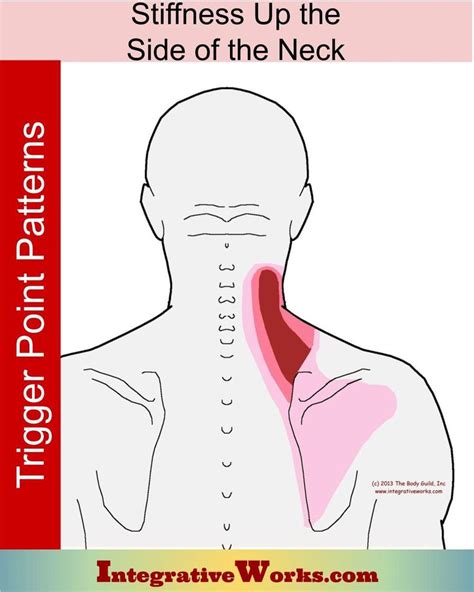 Pin On Neck And Shoulders