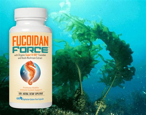 Fucoidan Facts Find Out What A Fucoidan Supplement Can Do For You