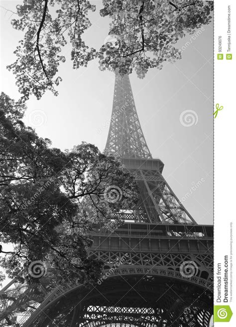 Eiffel Tower And Spring Trees Paris Stock Photo Image Of