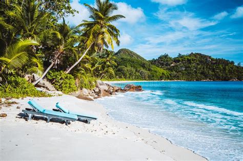 Beautiful Anse Intendance Tropical Beach Ocean Wave Roll On Sandy Beach With Coconut Palm
