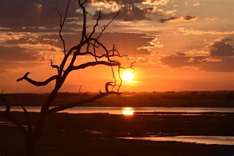 Botswana Sonnenuntergang Chobe Kostenloses Foto Auf Pixabay