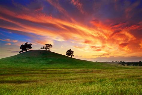 Sunset Spring May Sky Clouds Field Grass Trees Wallpapers Hd