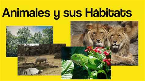 Los Animales Y Sus Hábitats Total Physical Response Youtube