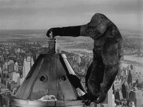 Discover & share this king kong gif with everyone you know. gif: king kong | Tumblr