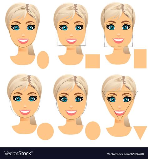 Woman Face Shape Types Royalty Free Vector Image