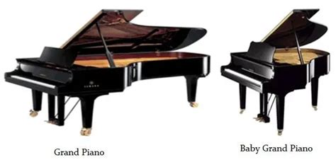 Best Digital Baby Grand Pianos Elegant And Feature Rich Keytarhq