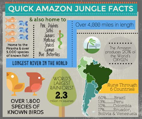 15 Fascinating Facts About The Amazon Rainforest