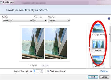Windows Live Photo Gallery 2011 Custom Print Size Dareloleader