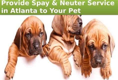 Low cost pet vet is located at 3202 w irving blvd, irving, tx 75061. Low cost spay and neuter Service in Kennesaw | Dog pet ...