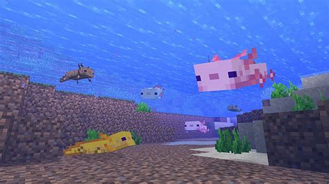 Minecrafts Caves And Cliffs Update Is Out Adding Axolotls Goats And 91
