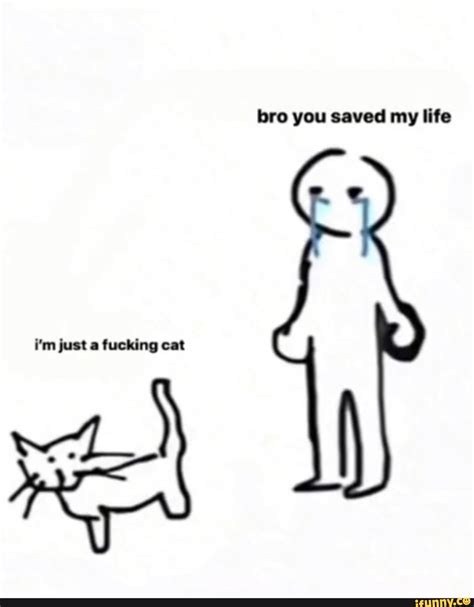 Bro You Saved My Life Im Just A Fucking Cat Ifunny