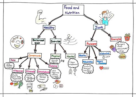 The whole concept of nutrition on a sheet of paper | Mimari sunum