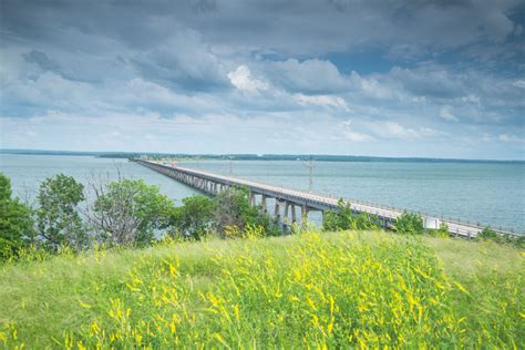 The Roosevelt Bridge Over Texoma Lake Lake Texoma Florida Postcard