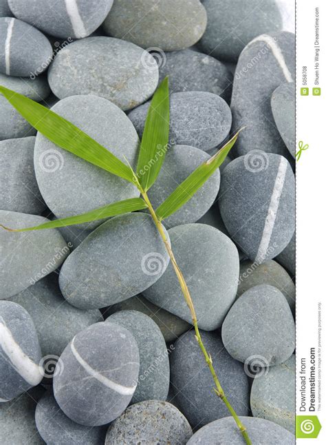Stones And Bamboo Leave Stock Photo Image Of Clean Leaf 5058708