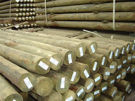 8' Wood Post CCA Treated, Pressure Treated Post, 58% OFF