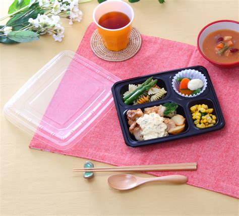 Japanese Bento Box Buy Japanese Bento Boxjapanese Food Containers