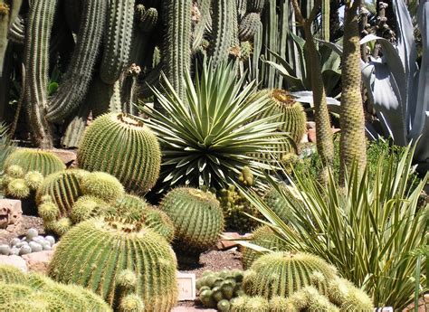 Check spelling or type a new query. Alicante, Spain: The Palm Groves of Elche
