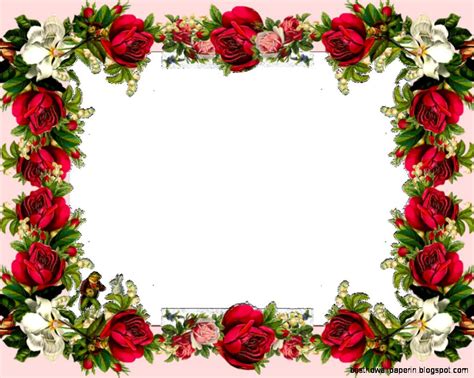 Hd Flower Photo Frames Best Hd Wallpapers