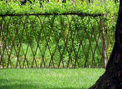 23 Amazing Examples Of Living Willow Fences Home Design Garden