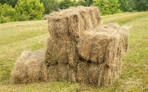 How Much Does A Bale Of Hay Weigh