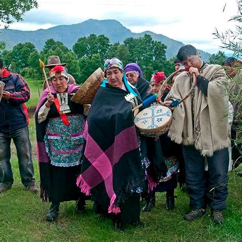 110 Ideas De Pueblos Originarios En 2021 Cultura Mapuche Pueblos Porn