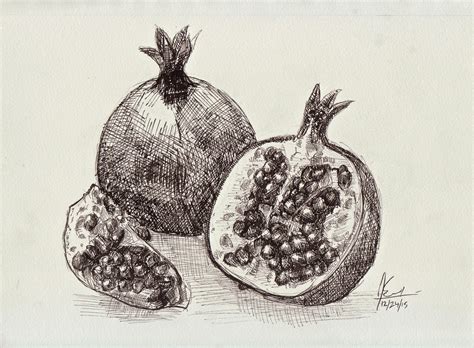 Pen Drawing Of Pomegranates Pomegranate Drawing Pomegranate Art