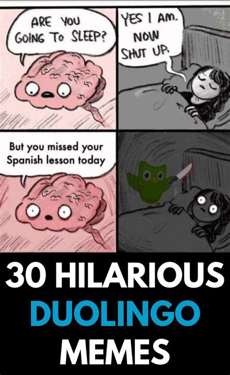 Hilarious Duolingo Memes Duolingo Classic Memes Funny Horror