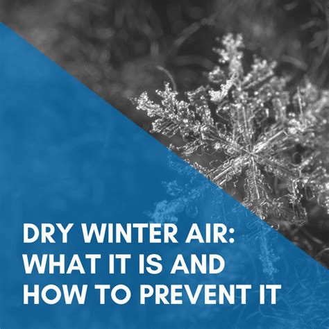 Dry Winter Air What It Is And How To Prevent It