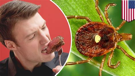 Meat Allergy Lone Star Tick Bite Triggers Sudden Allergic Reaction To